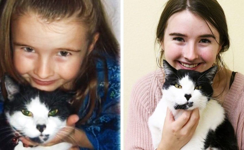  A miraculous reconciliation: a woman found her long-lost cat at her new job
