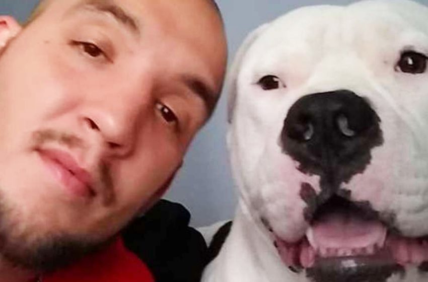  A man sold the car to save his dog’s life