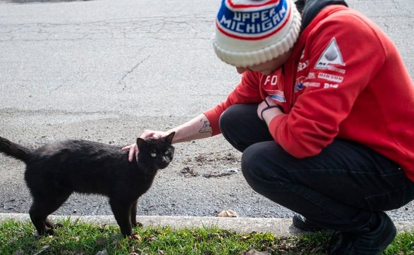  A guy buried a cat, and in the morning he returned home