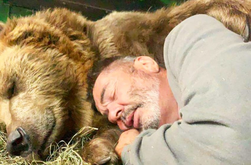  A married couple rescues orphan bears and nurses them as their own children
