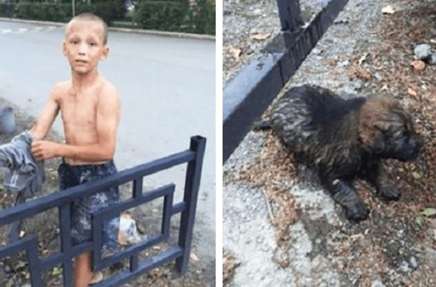  The adults did not risk themselves, but this boy was not afraid and helped the dog by entering the ditch