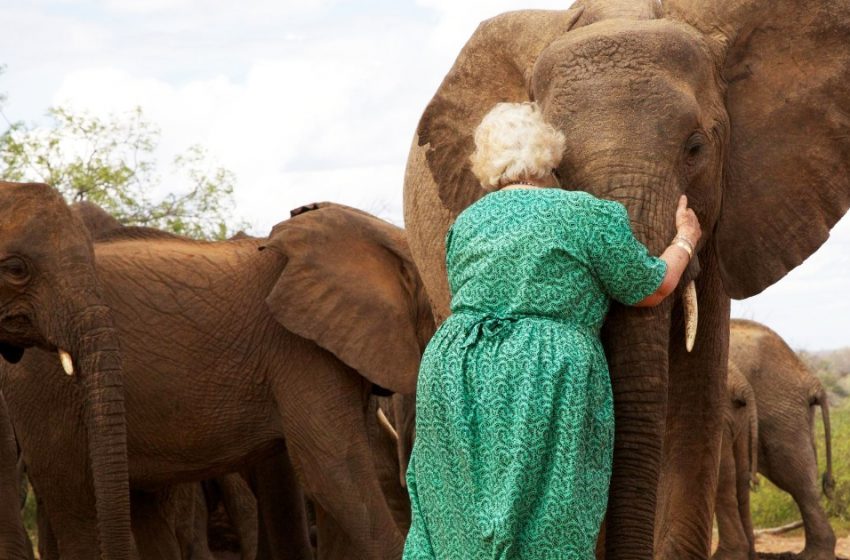  Orphaned elephants will always be thankful to the woman who rescued them