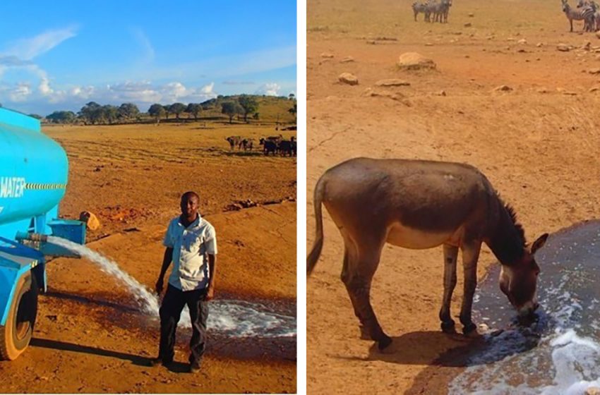  The big-hearted man takes water  for animals who are suffering from thirst