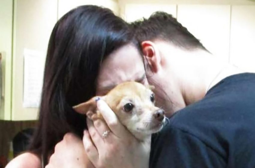  The family cried meeting their lovely dog after 6 years