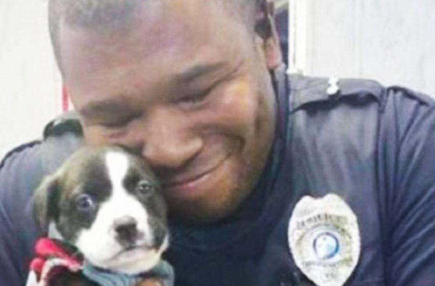  By chance, this puppy has a loving owner, and the officer has a true friend