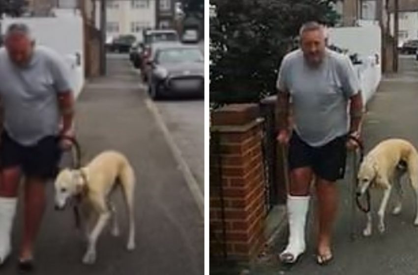  After an expensive examination the man understood that his dog only copied him for sympathy