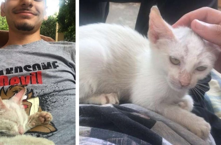  The young man woke up and found a cat napping on his hand