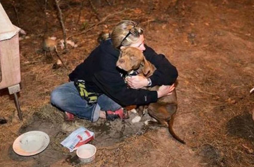  The stollen dog, saved from the cockfighting ring, reunited with his owner