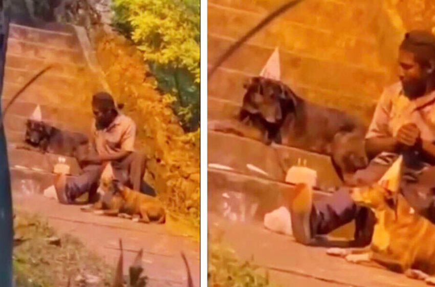  The homeless man held his dog’s birthday party