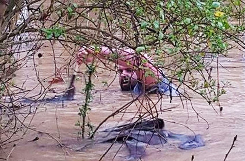  The kind-hearted men saved helpless animals in flash flood