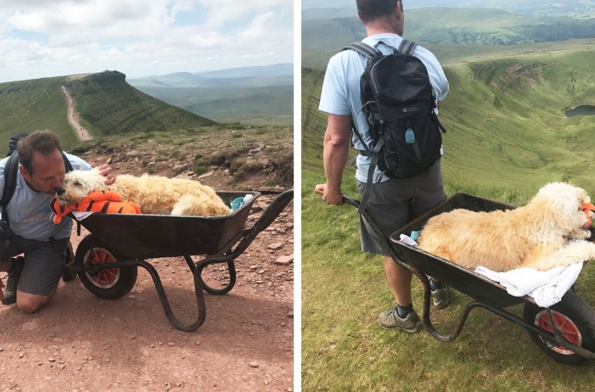  The moving pics show the man took his sick dog for a final adventure