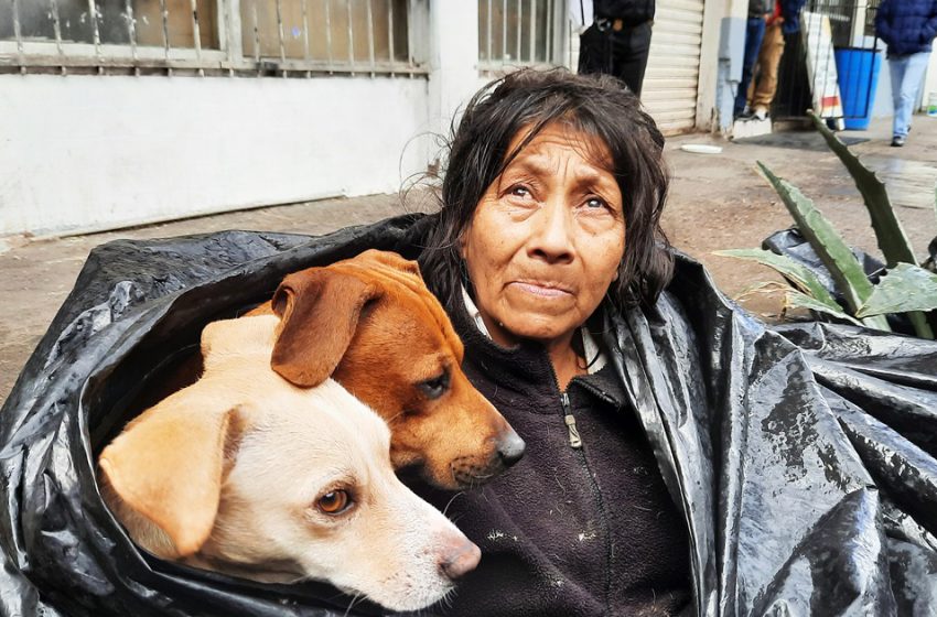  The homeless woman refused to go to a shelter as she didn’t want to leave her dogs