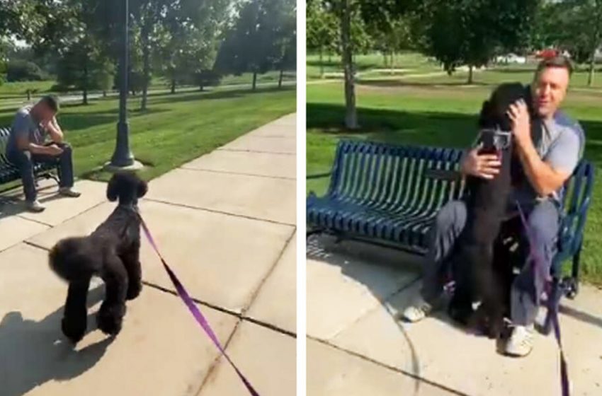  The dog got thrilled recognizing her best friend