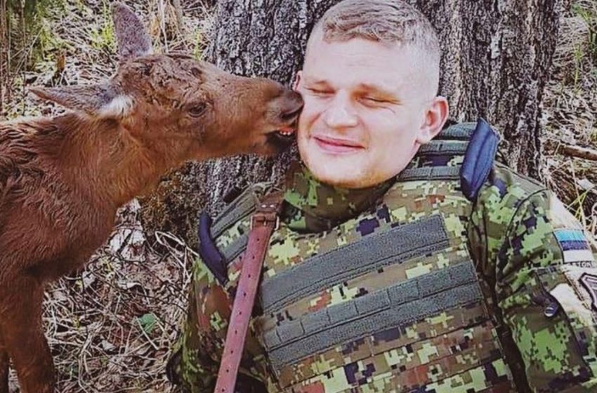  The Soldier Met A Lost Baby Moose In The Forest