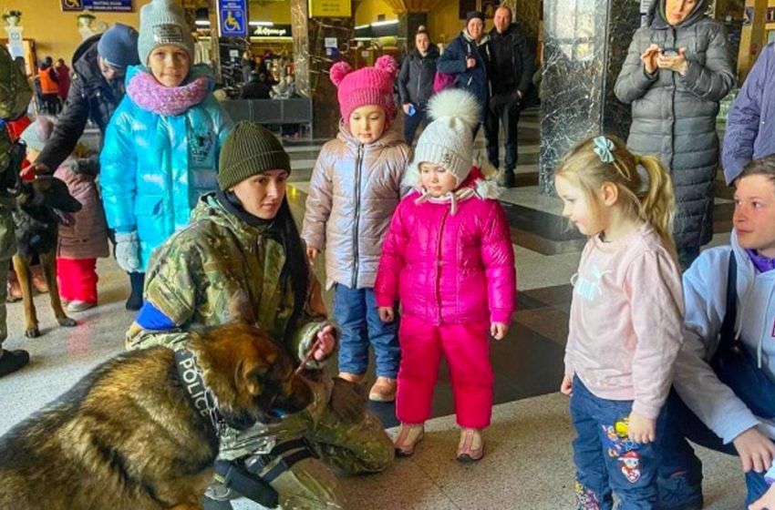  How police dogs comfort children at train stations in the difficult conditions of the Ukrainian war