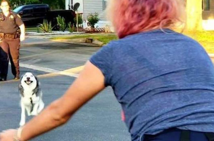  The heartbroken woman reunites with her stolen dog two years later