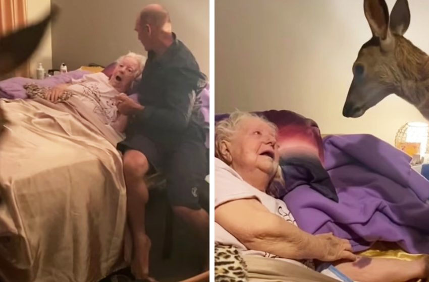  Daughter surprised her mother foe the last time