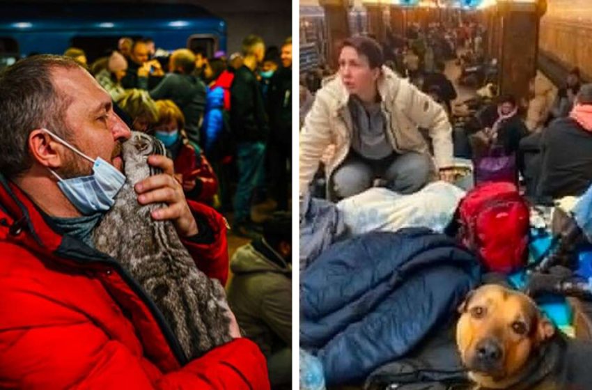  Hearbreaking moments of Ukrainians holding their pets when fleeing