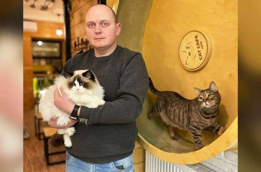  Ukrainian Cat Cafe is still open even during the war for its 20 residents