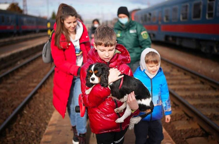  Ukrainians don’t want to leave the country without their pets