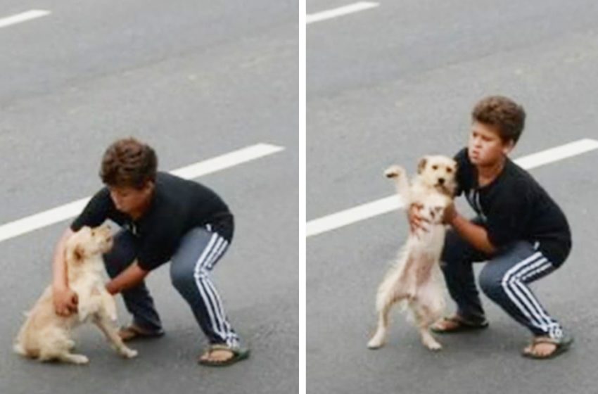  The 11 years old boy risked his life to save the poor dog