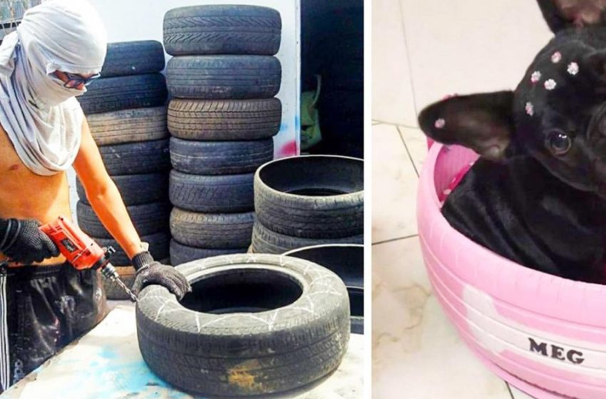  Brazilian man collects old tires and turns them into chic animal beds