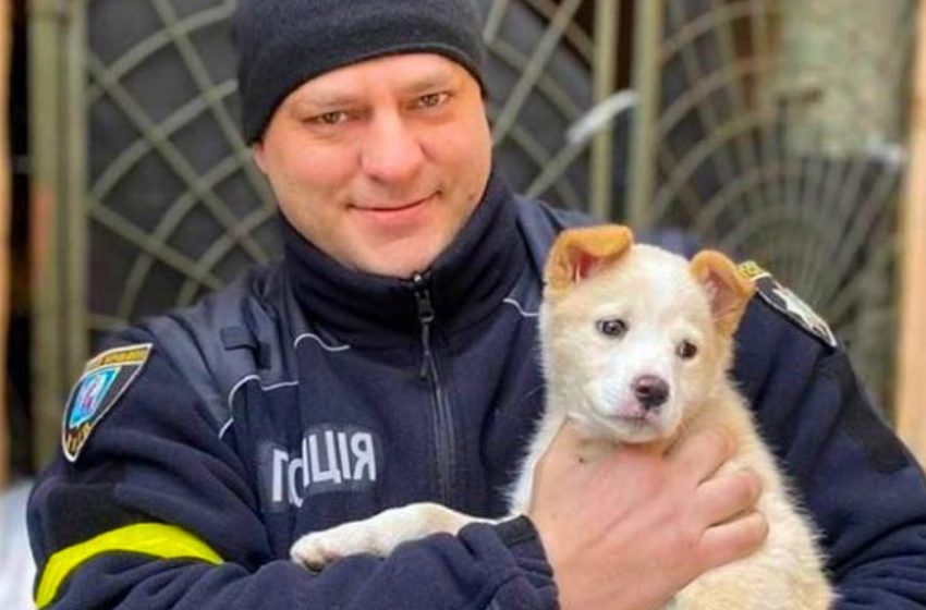  The Kyiv police have their own fluffy Bayraktar — a small and positive ray of hope