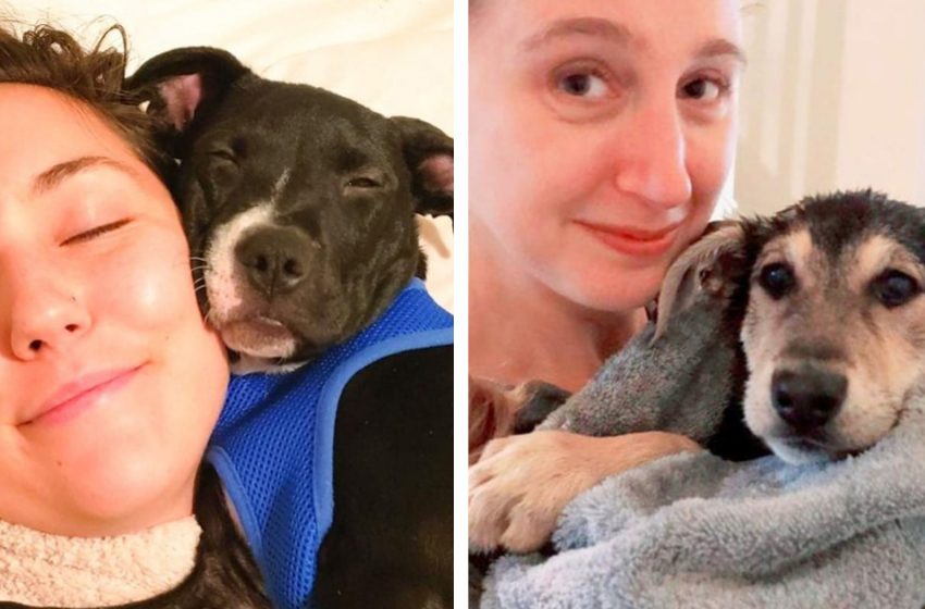  15 touching photos of pets taken from a shelter