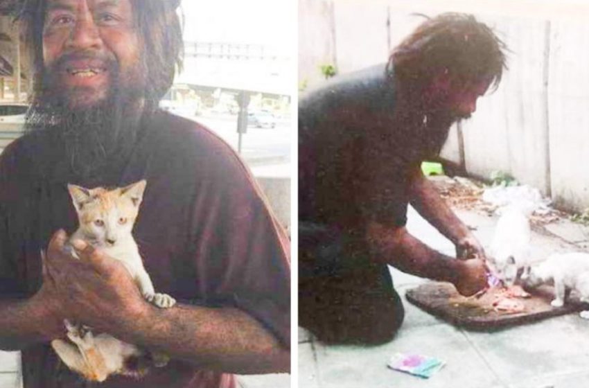  A homeless man feeds street cats every day, despite the fact that he sometimes goes hungry