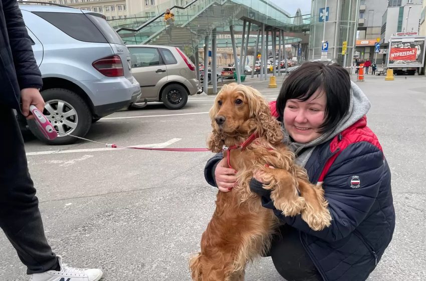  The man helps the Ukrainian family to find a safe place and Do not leave their dog homeless