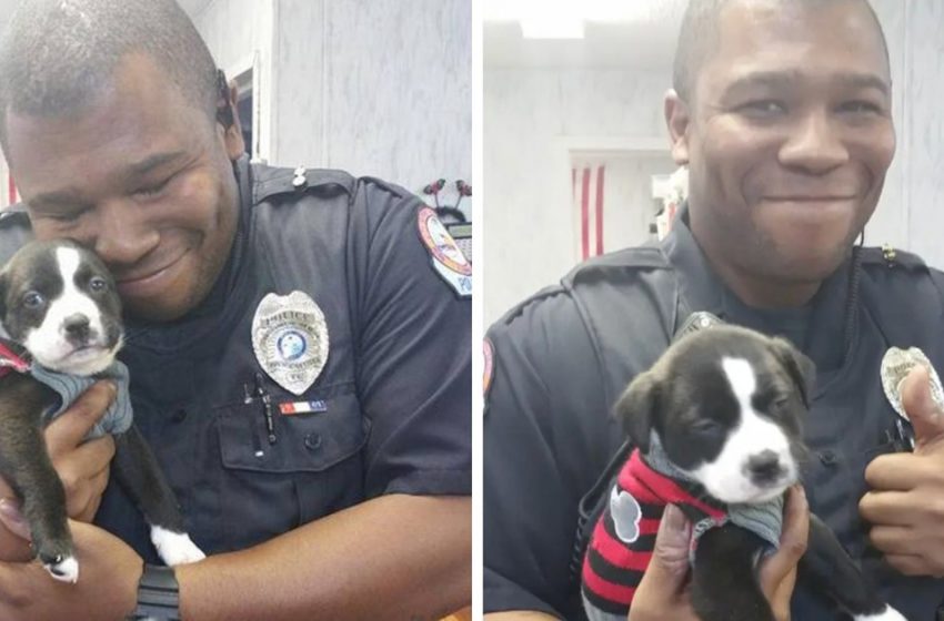  An officer shows up on a routine call and falls in love with a tiny puppy