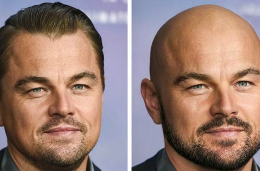  What celebrities would look like without their hair