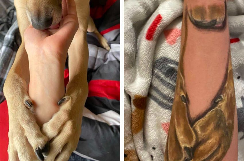  A woman got the cutest tattoo in memory of her beloved dog