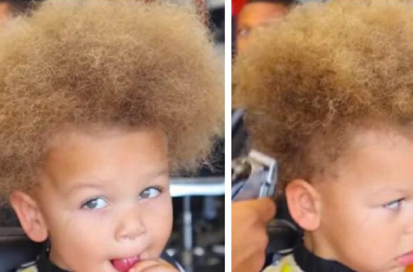  Dandelion Makeover: 2-Year-Old Boy’s Hairstyle Changed by Stylist, Now He’s a Stylish Boy!