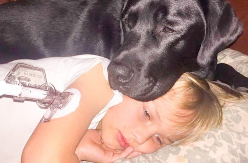  The woman woke up from the fact that the dog was pulling her out of bed. He dragged her to his son’s room by force …