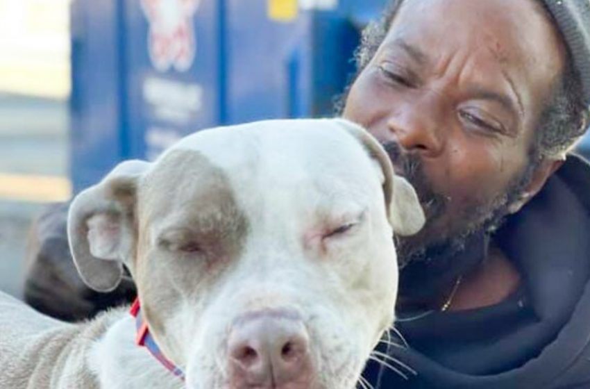  Homeless man risking his own life to save animals from a burning shelter