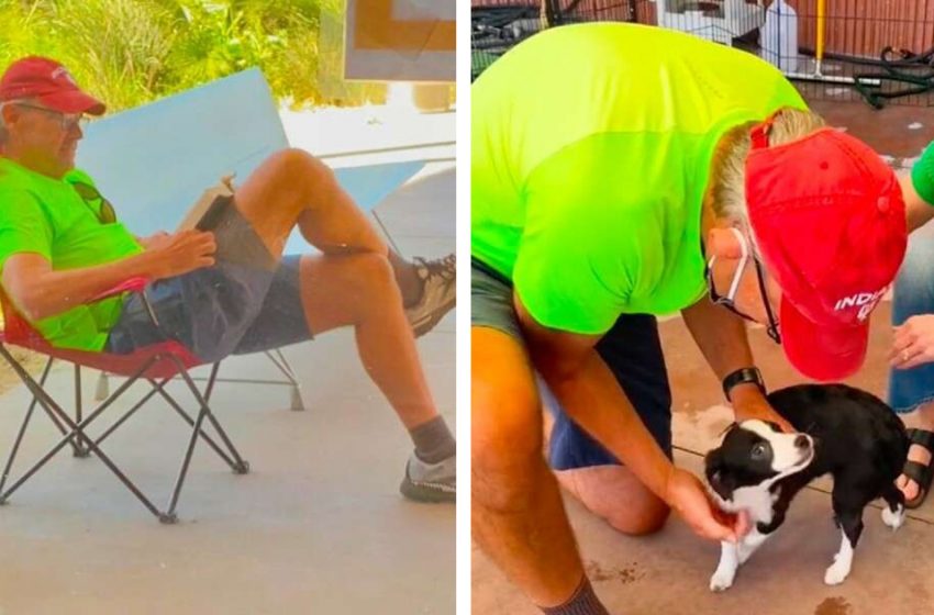  The guy stopped at the shelter to adopt his beloved dog