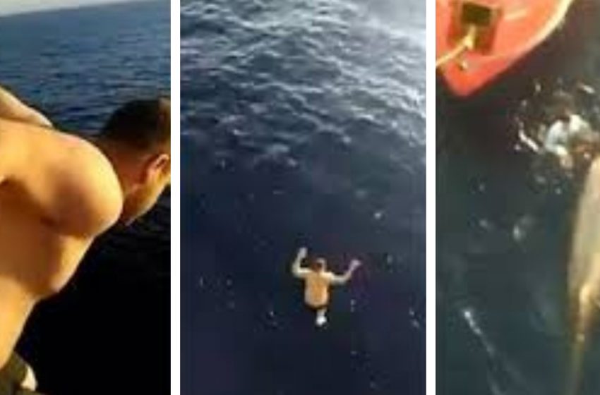  The sailor jumped from the 12-meter deck to save the whale, which was entangled in the nets