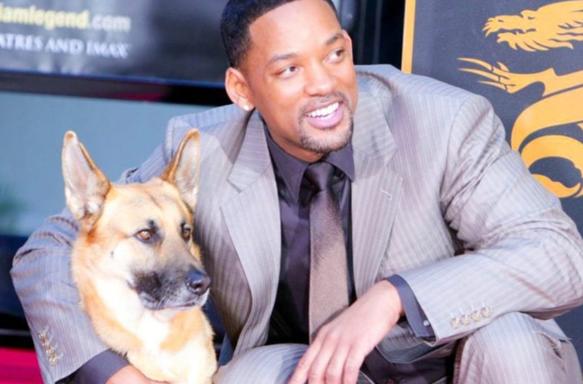  These celebrities took the dogs home as their pets after filming ended