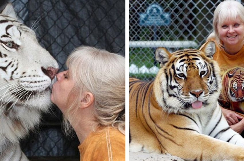  The woman keeps 2 giant tigers in her backyard