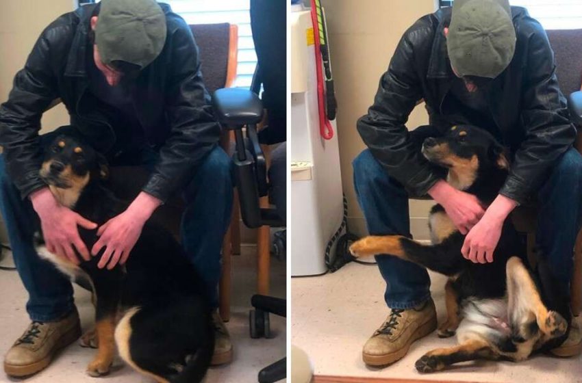  Homeless boy reunited with his lovely dog after they both found  a home