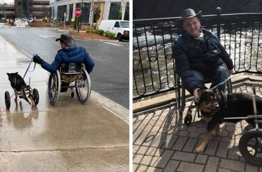  Dog with disabilities is finally adopted by his perfect human