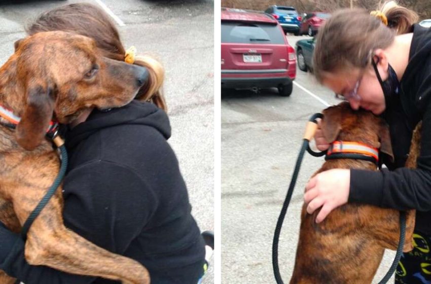  The dog from the shelter noticed the girl had a panic attack and rushed to the rescue