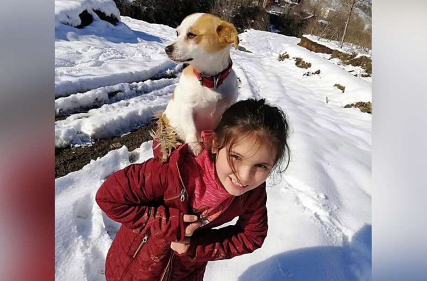  The little girl makes her way through heavy snowfall to help her sick dog