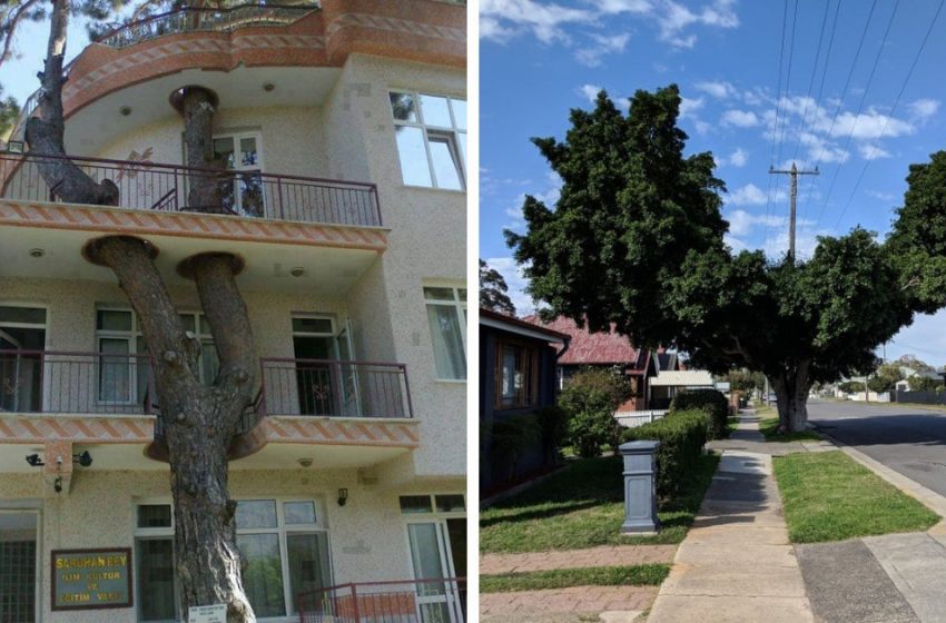  15 Cases when people decided to respect nature and came up with something unusual to do it