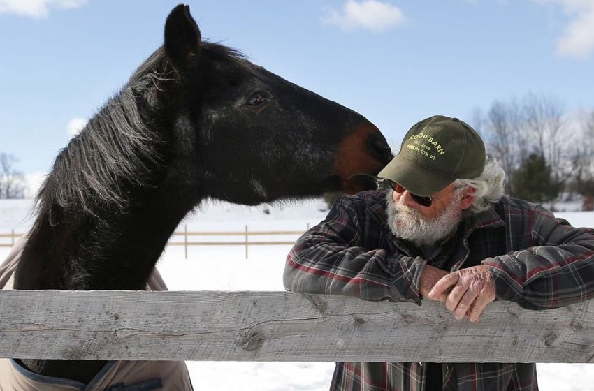  A 40-year-old retired horse and a 58-year-old man give each other a reason to live