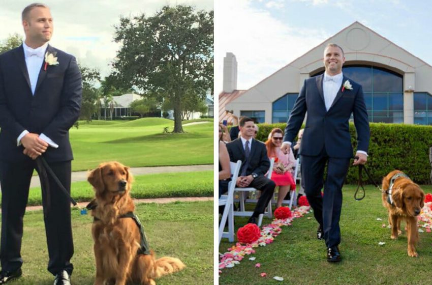  Wounded veteran takes his service dog to be best man at his wedding