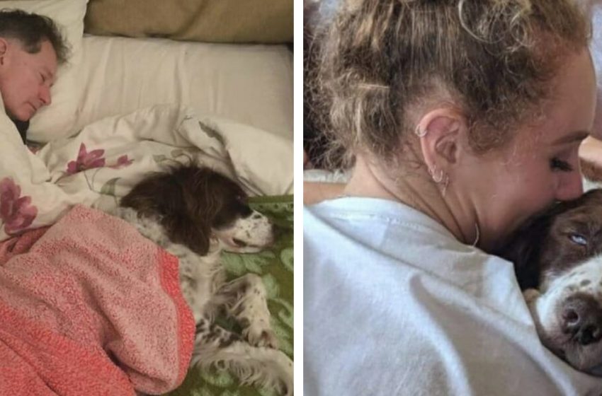  The family takes turns sleeping on the couch to keep their old dog company