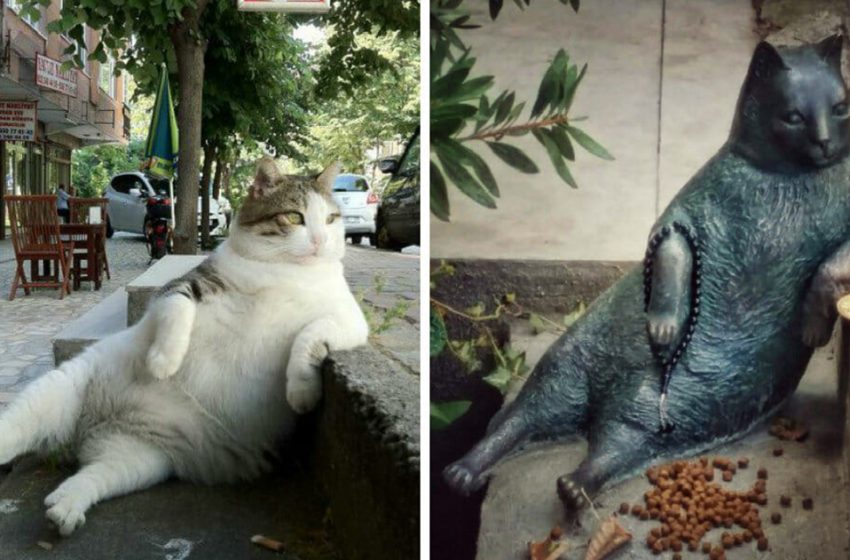  When a beloved street cat died, the locals honored her memory by putting up a statue in her favorite spot