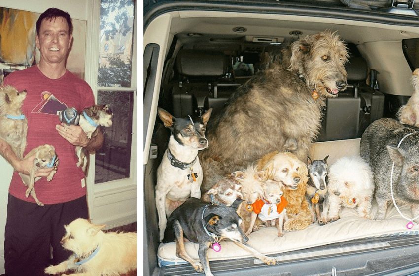  A man dedicated his life to adopting older animals that are overlooked in shelters